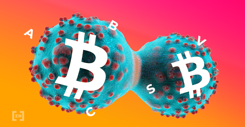 Bitcoin SV (BSV) Nodes Are Accidentally Connecting to Bitcoin Cash (BCH) Nodes