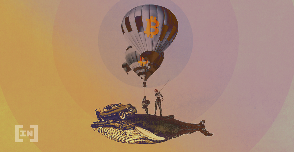  btc bitcoin fee again network whales being 