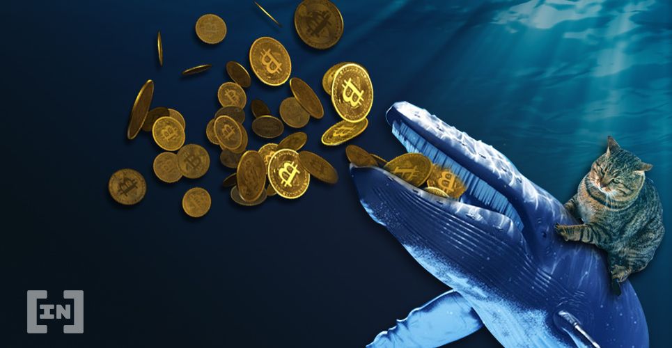 Whale Cycles $361M of Bitcoin Through Many Different Wallets