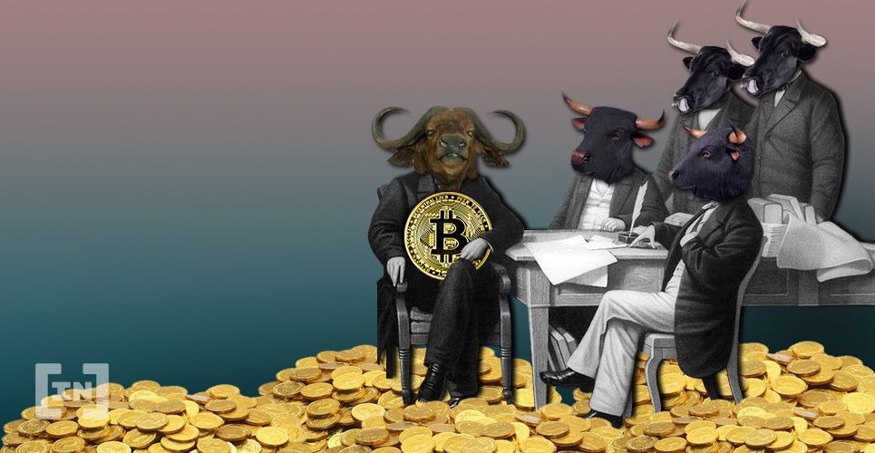 Let Billionaires and Hedge Funds Get Wiped Out, Says Bitcoin Bull