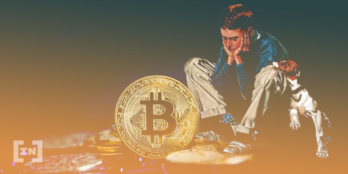  bitcoin february drop similarities shares movement eventually 