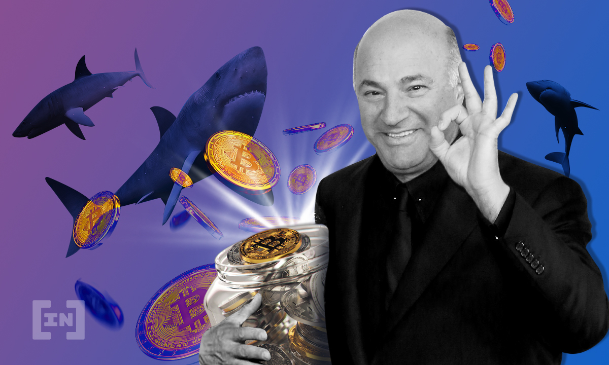  kevin leary support binance bankman-fried continuous sam 