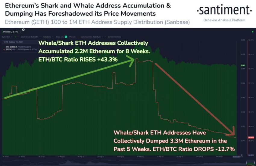 Ethereum Whale and Shark Addresses Offload as ETH Price Struggles