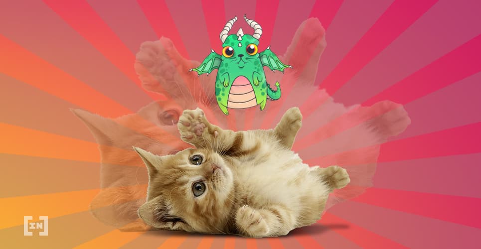 Say Meow! 7 Facts About CryptoKitties You Probably Didn&#8217;t Know