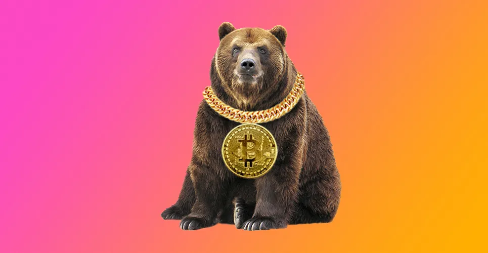 bitcoin bear market