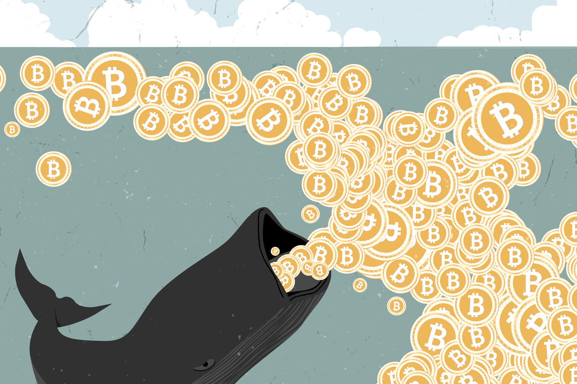 Bitcoin whale