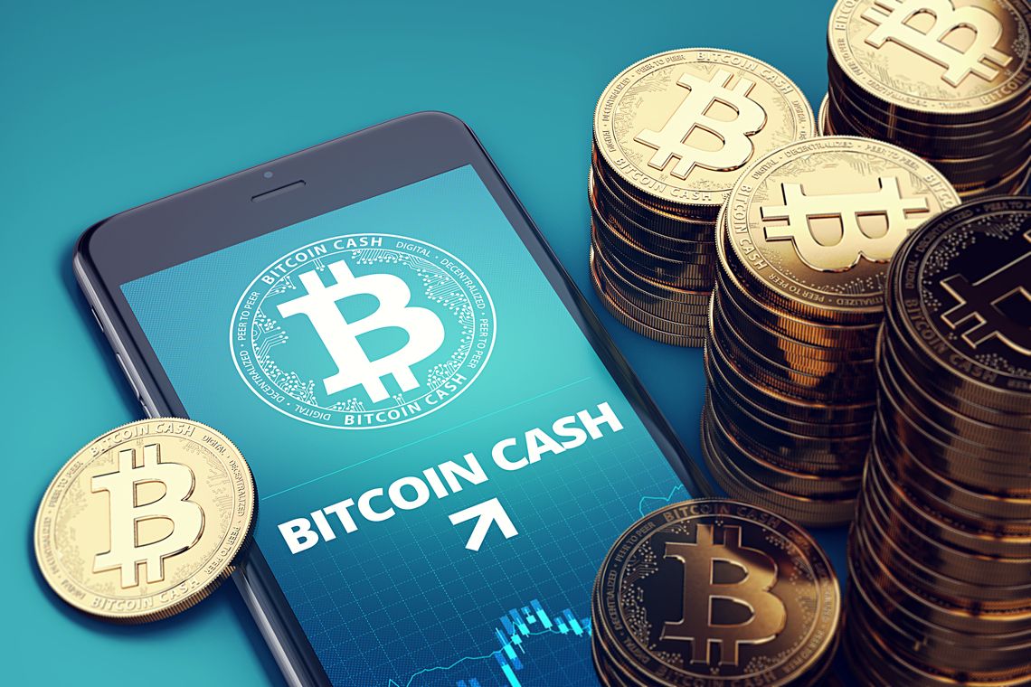 bitcoin cash new