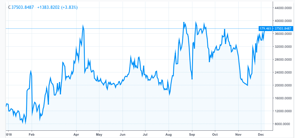 BTC shorts
