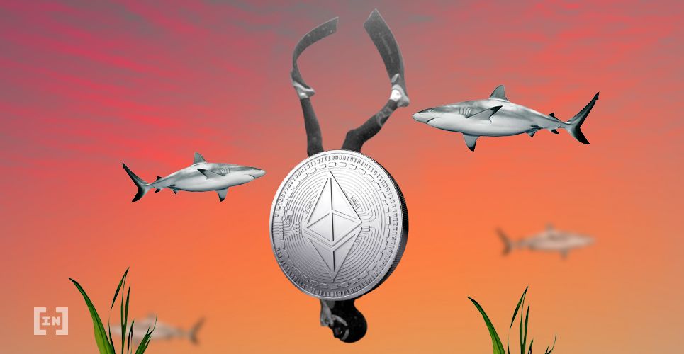 Crypto Sharks Liquidating Positions for Profit