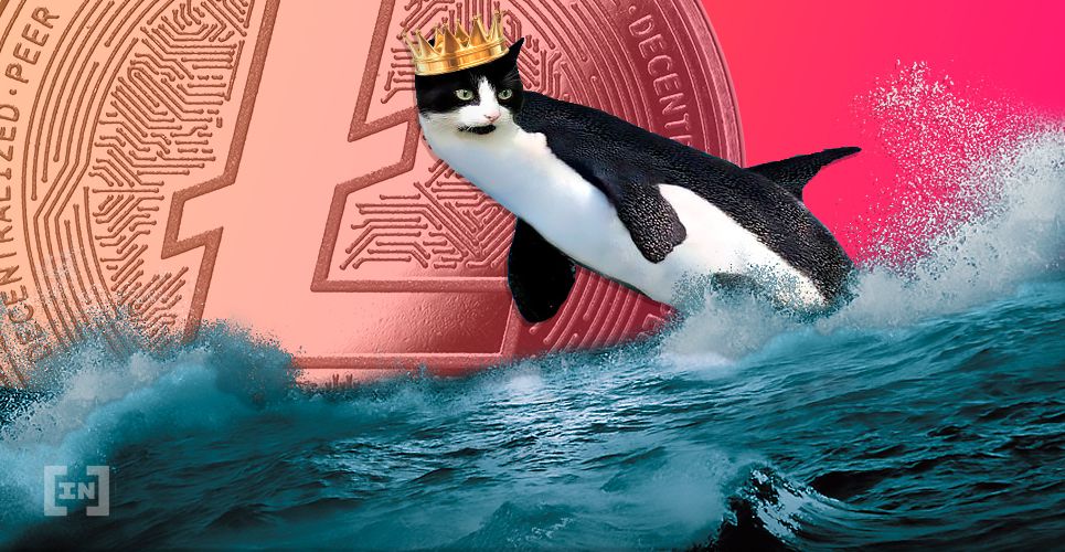 Has The Litecoin King Whale Appeared?