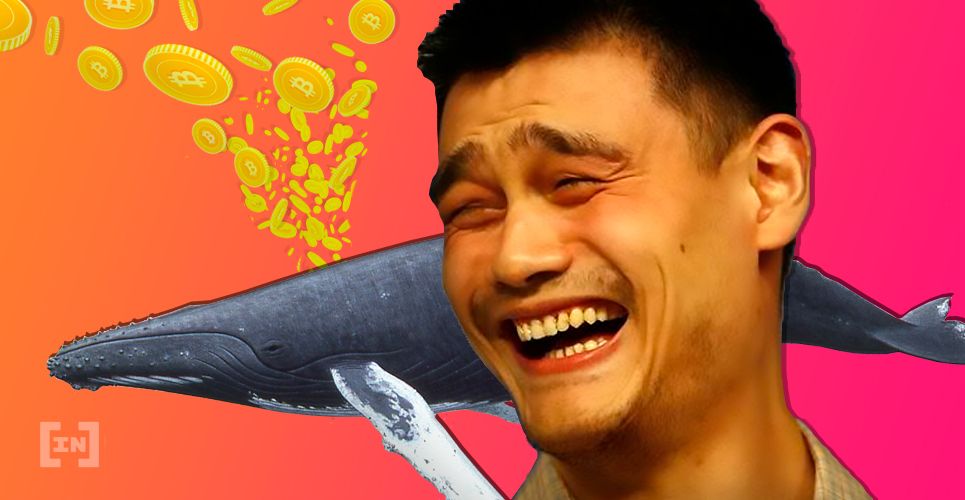 Proof of Whales: Binance Launchpad Participants Must Now Win The Lottery