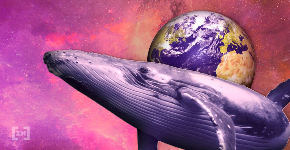 Do Ether Whales Impact The Ethereum Market?