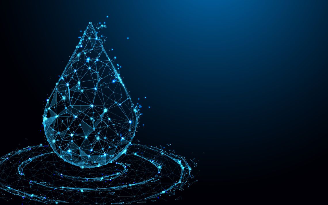 Liquid Network
