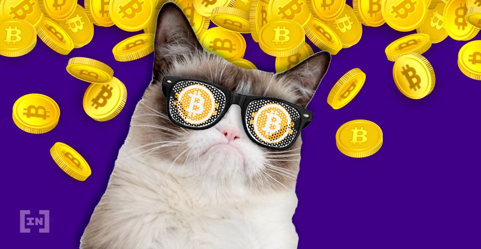 Crypto Startup CEO’s Dire Prediction: Bitcoin Below $3K, Internet Shutdown