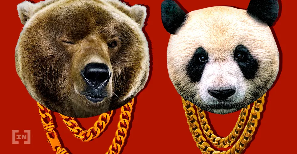 Chińska Panda i Niedźwiedź Kamczacki