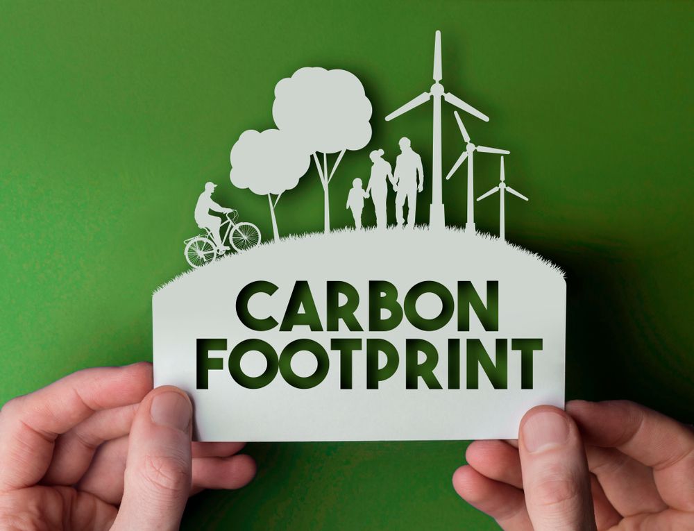 Crypto Carbon: You can make crypto even more sustainable by investing in carbon offset projects or by changing your business practices.