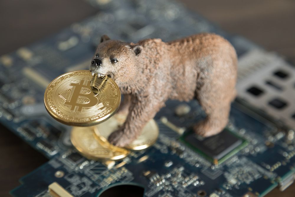 Bitcoin BTC Bear