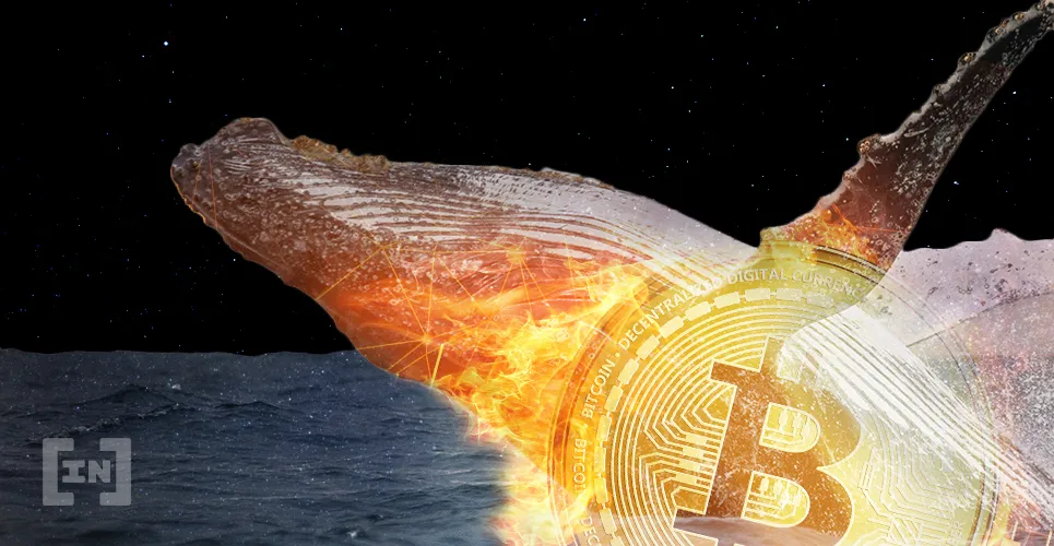 whales Bitcoin