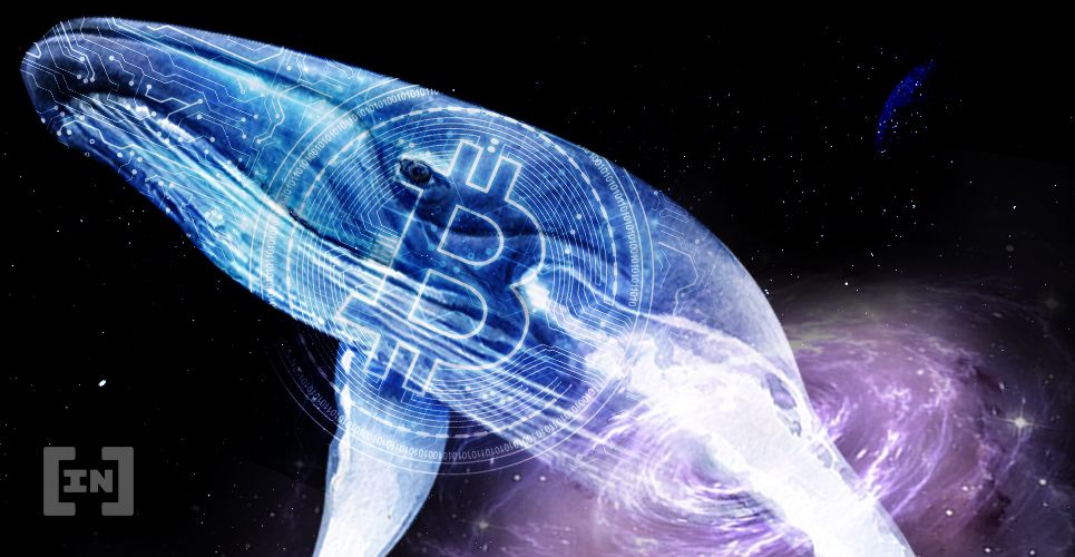 Bitcoin Whale Transfers $12M Worth of BTC to &#8216;HODL&#8217; Wallet
