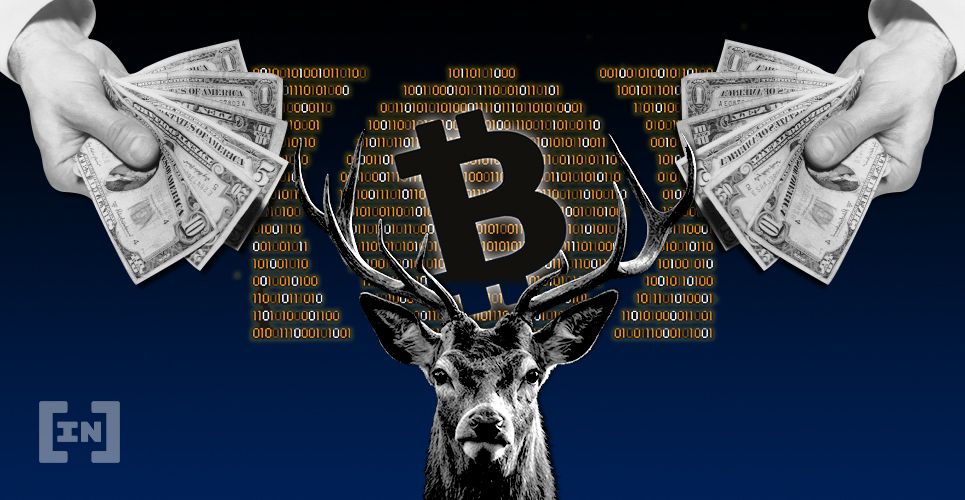 $200M Bitcoin Cash Ecosystem Fund Announced at Blockchain Headquarters