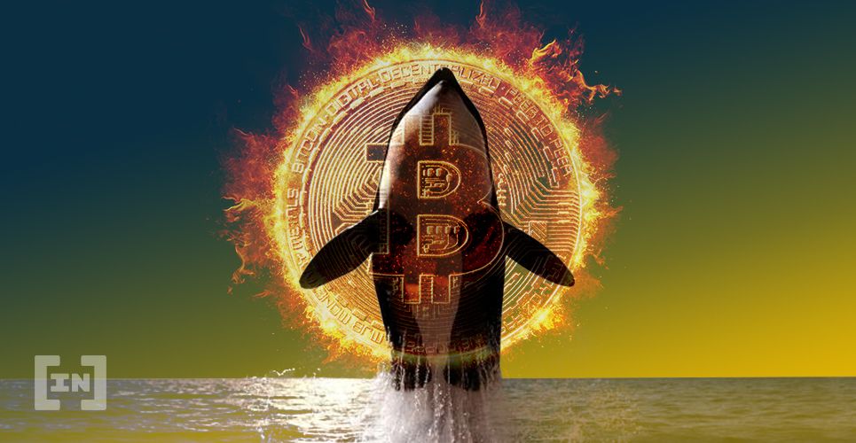 Bitcoin Whale Moves 5,000 BTC from Inactive Address