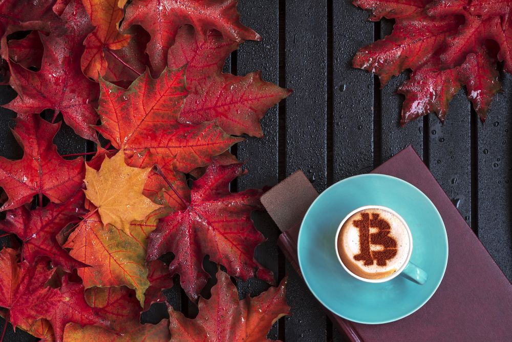 Speculations On Bitcoin Price Movement After Thanksgiving Gains ...