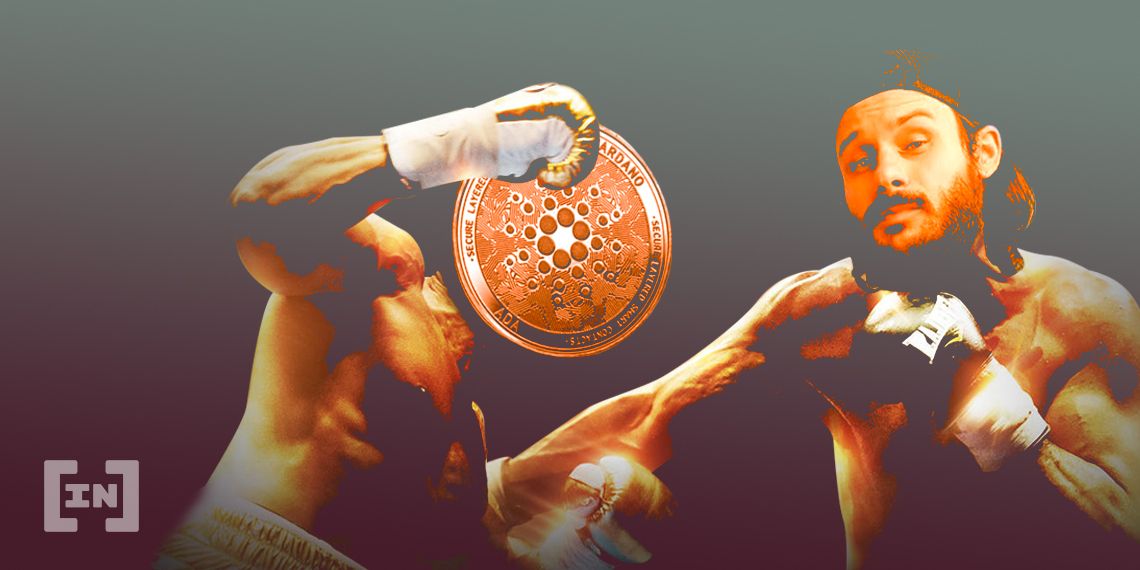 Cardano Founder to Fight Crypto-Youtuber in MMA Match for Charity