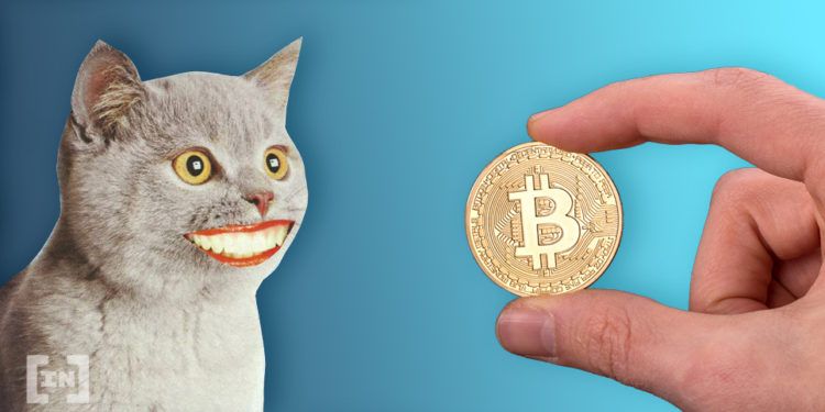 Bitcoin Outclasses Other Cryptocurrencies as an Investment Option, Here&#8217;s Why