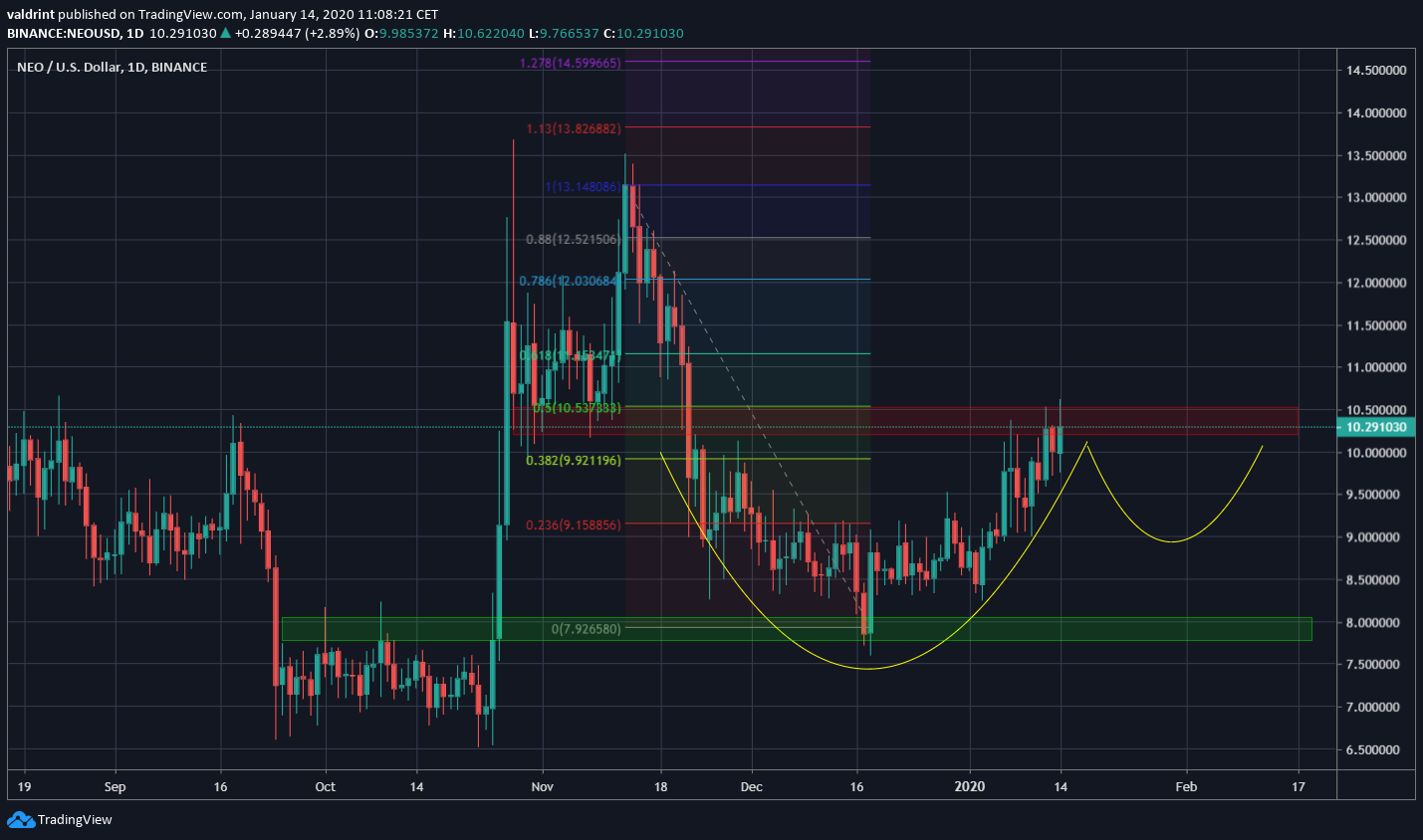 NEO Cup and Handle