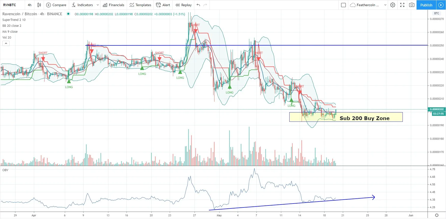 RVN Price Movement