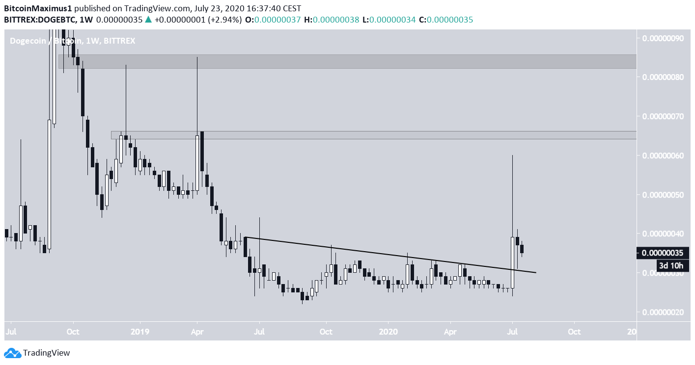 DOGE Long-Term