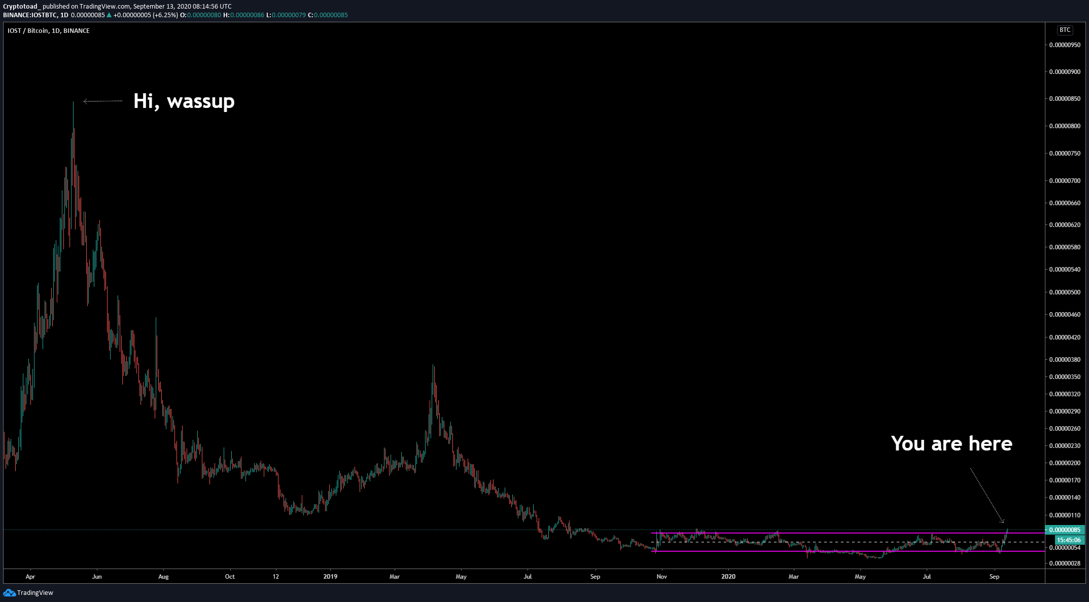 IOST Movement