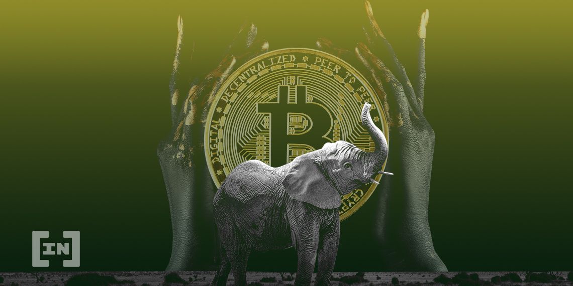 Crypto Industry Thriving on the African Continent