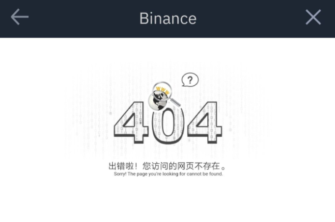 Binance Suffers Temporary Outage as Bitcoin Price Pumps