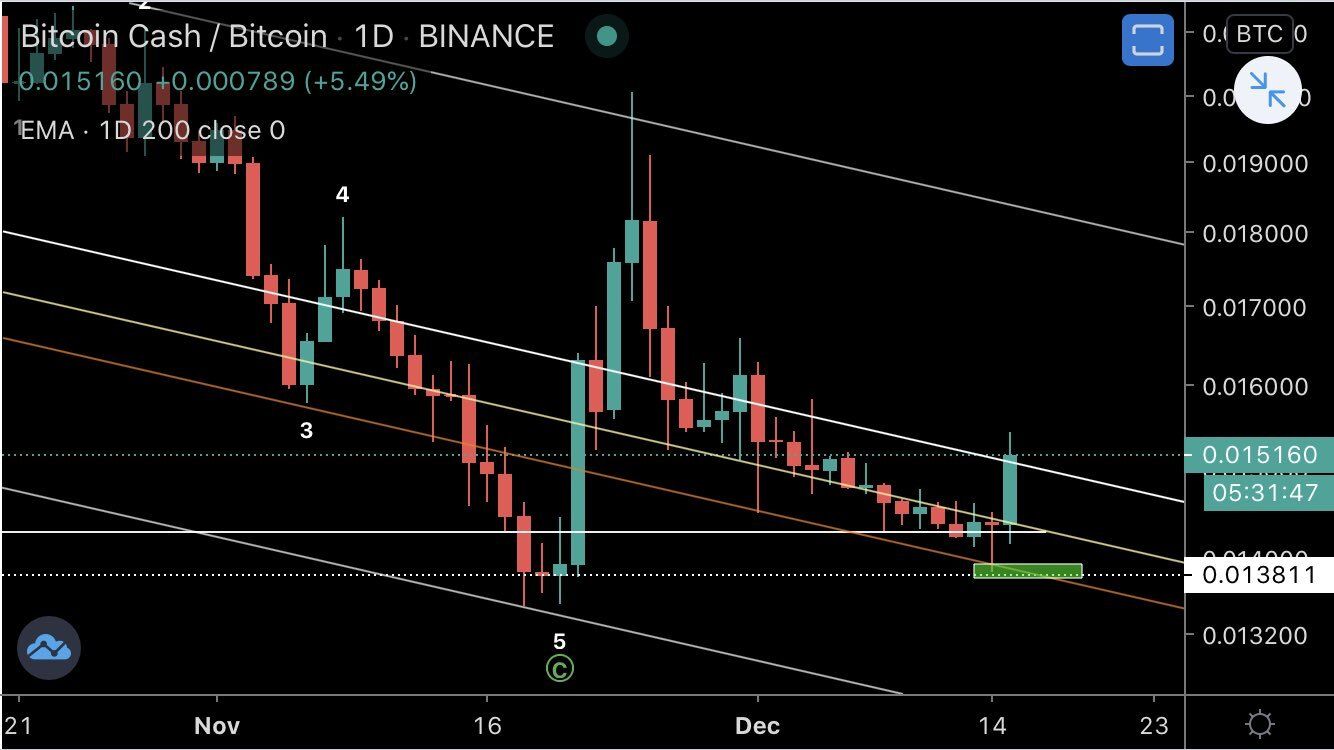 BCH Movement