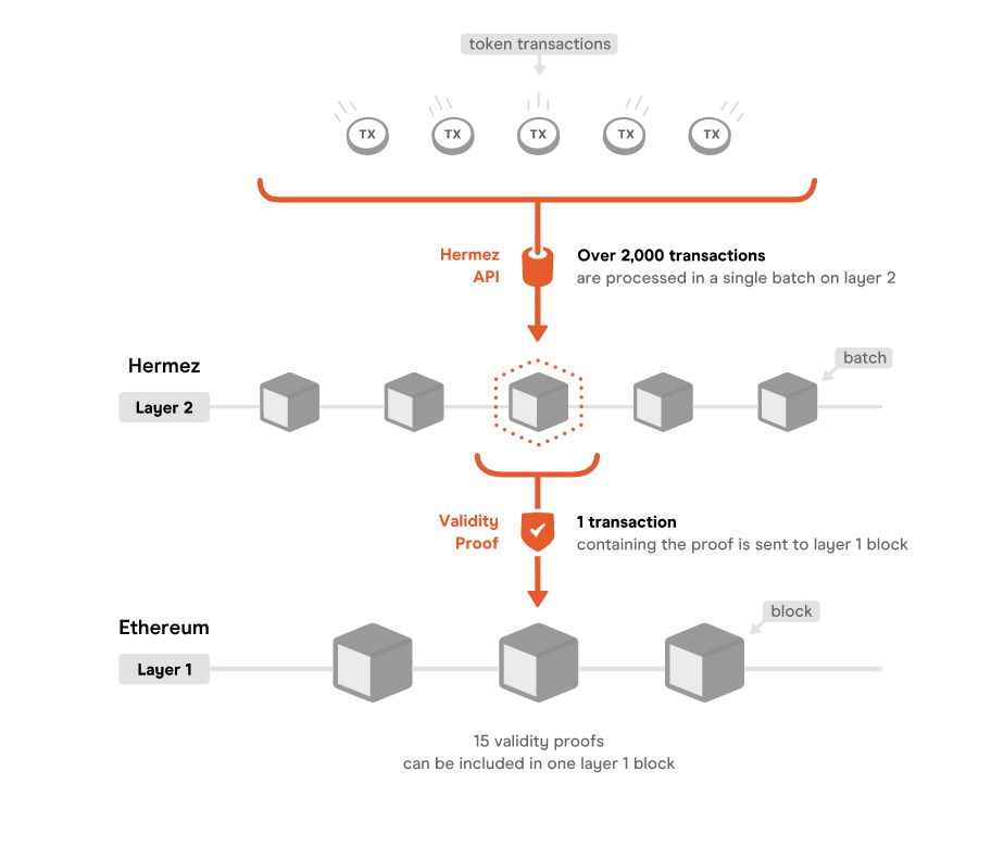 Hermez Adds USDT to Layer 2 Ethereum as ZK-Rollups Take Off