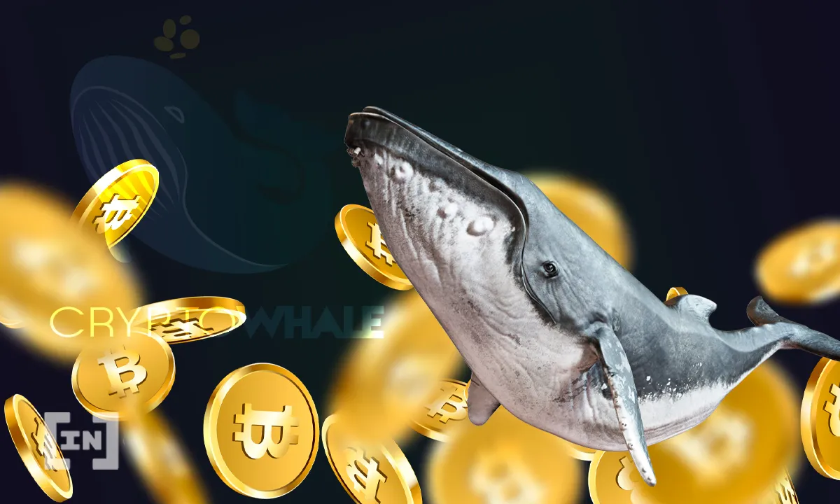 Bitcoin Whale: New Player Buys Three Billion Dollars’ Worth of BTC