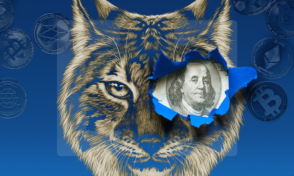 Wildcat Crypto: Will History Repeat Itself?