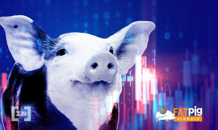 Fat Pig Signals: A Crypto Signals Group With High Accuracy (and Dark Humor)