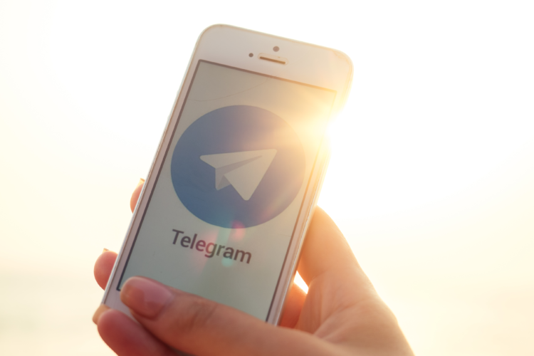 Telegram Signals
