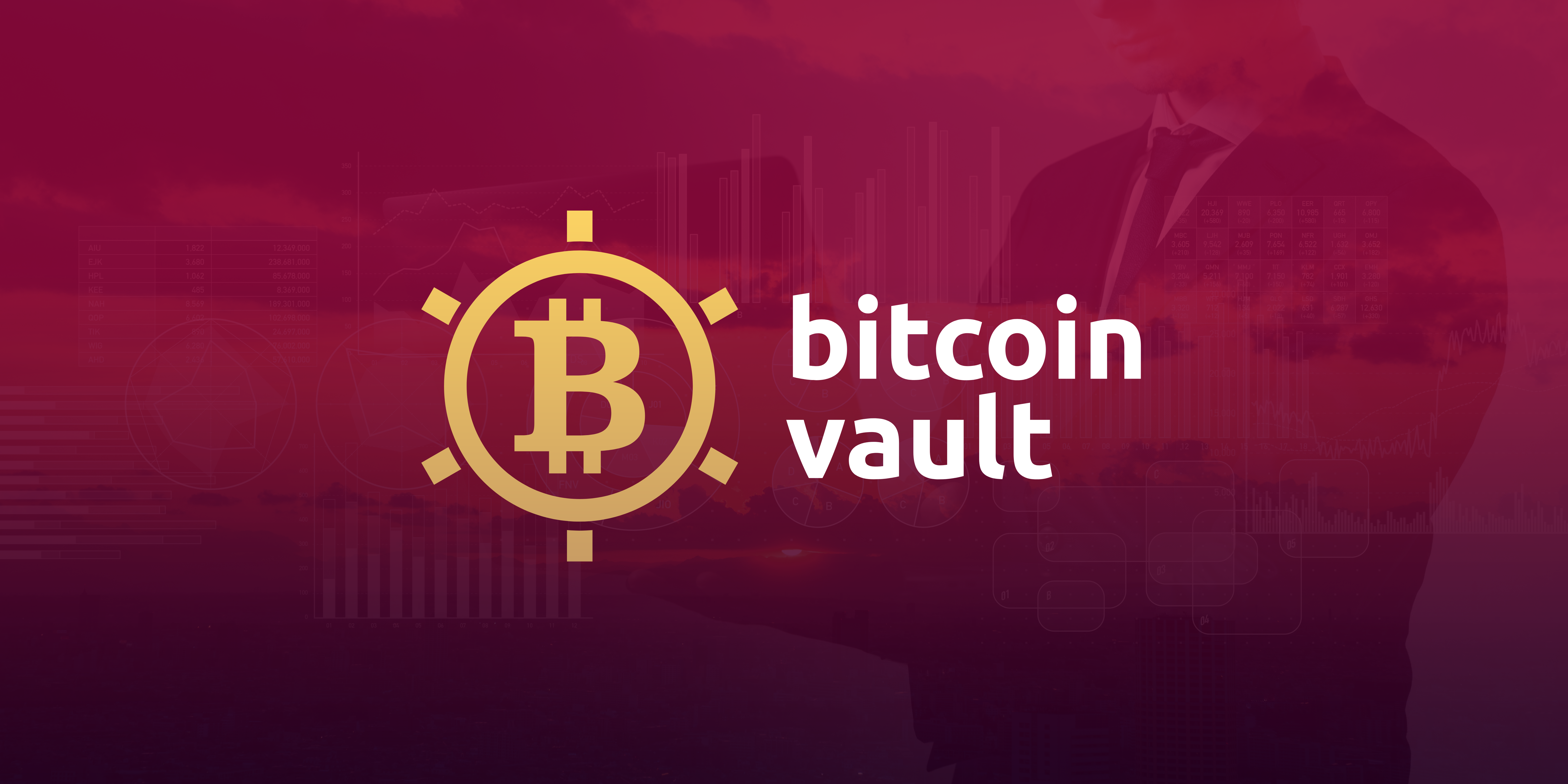 Security Matters— Ultimate Review of BTC Vault