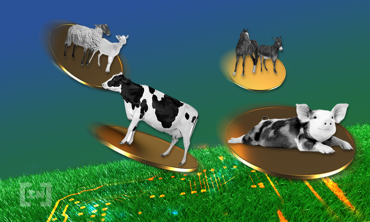 Tokenization of Cattle is Proving Real-World Blockchain Use