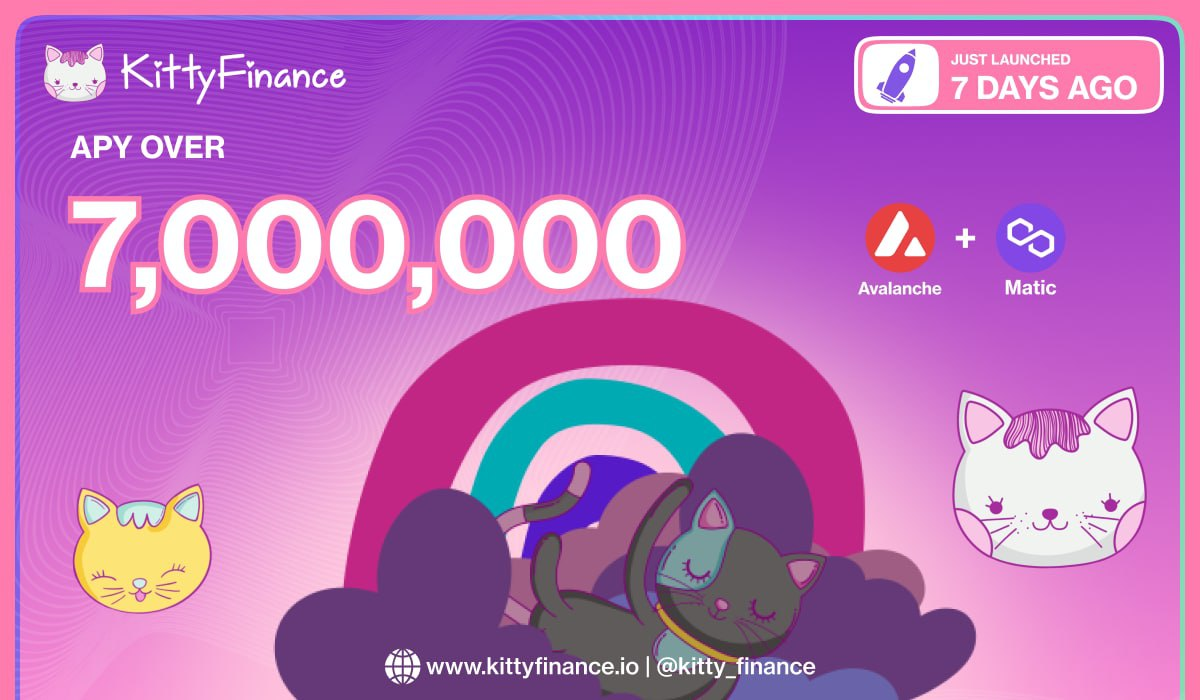 Kitty Finance dovrebbe raggiungere oltre $ 50 milioni di TVL in un mese