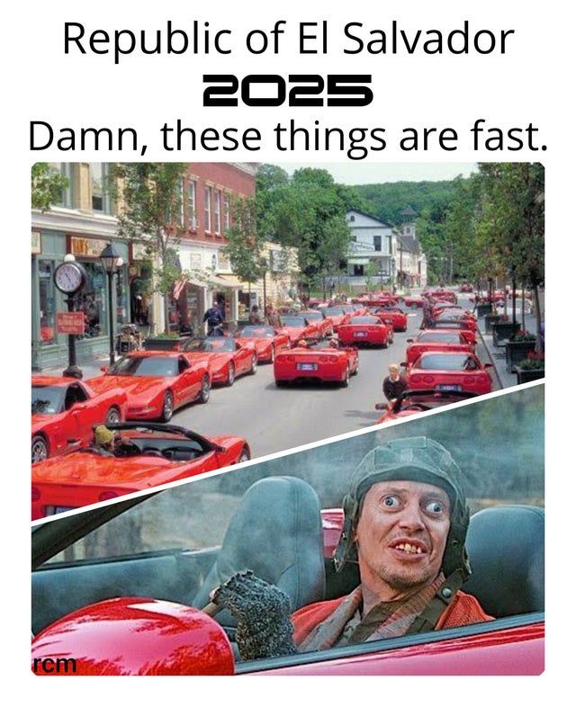 Crypto memes in 2021