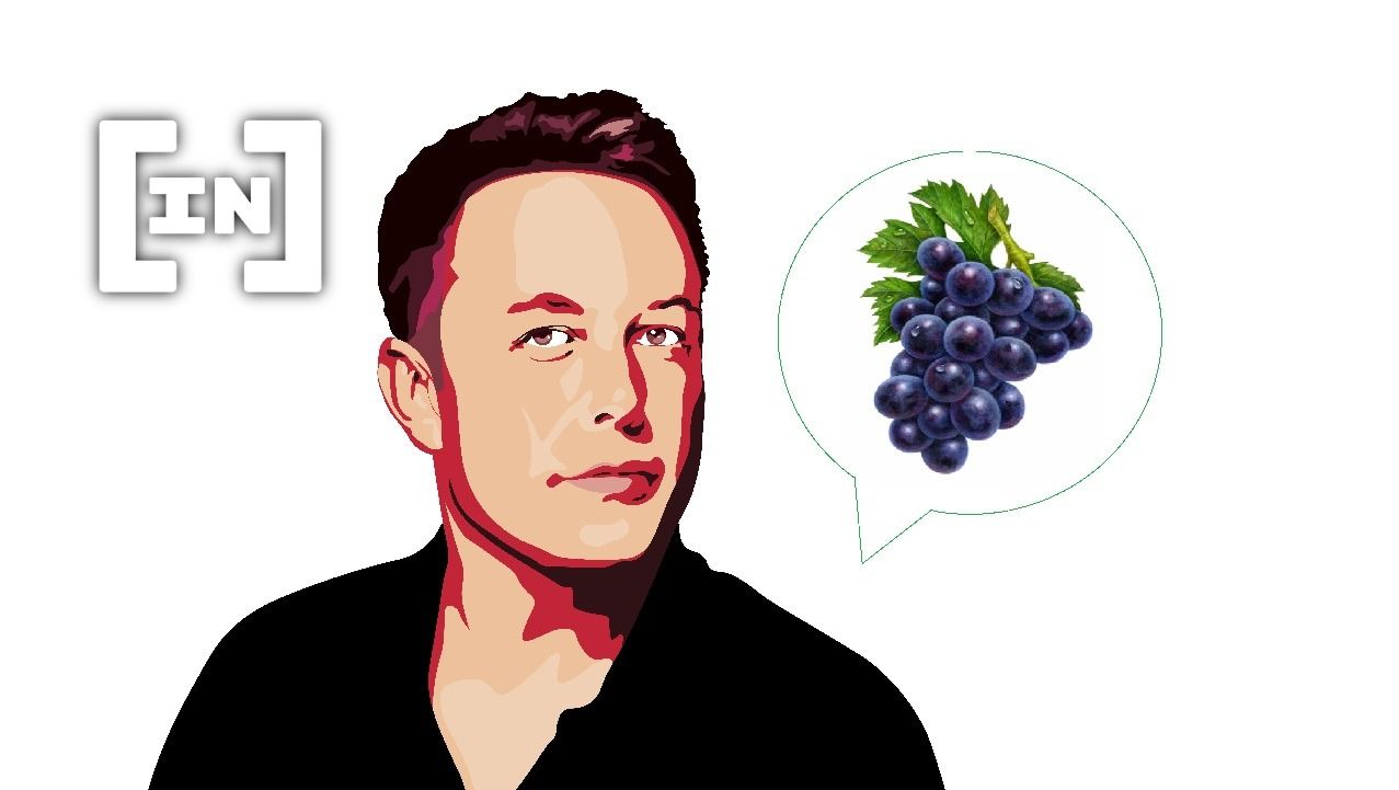 Grape: Musk’s Rando Tweet About the Fruit Jacked up the Price of the GRAPE Token