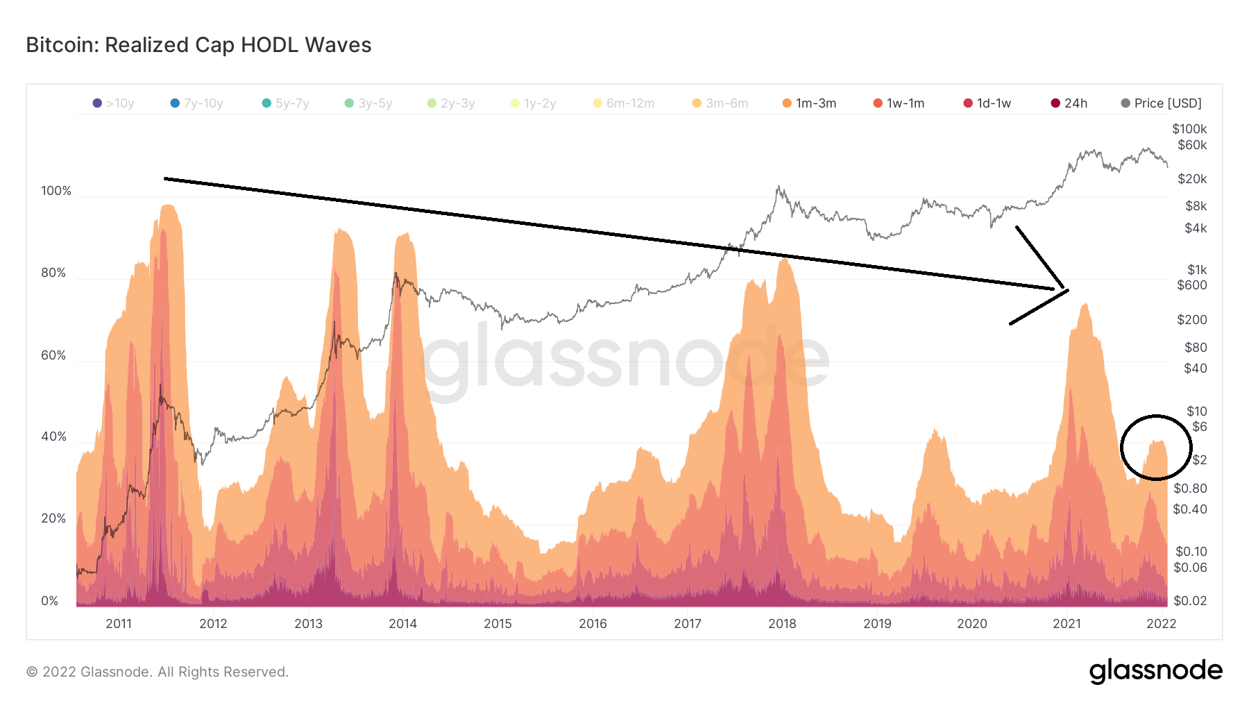 HODL Wave