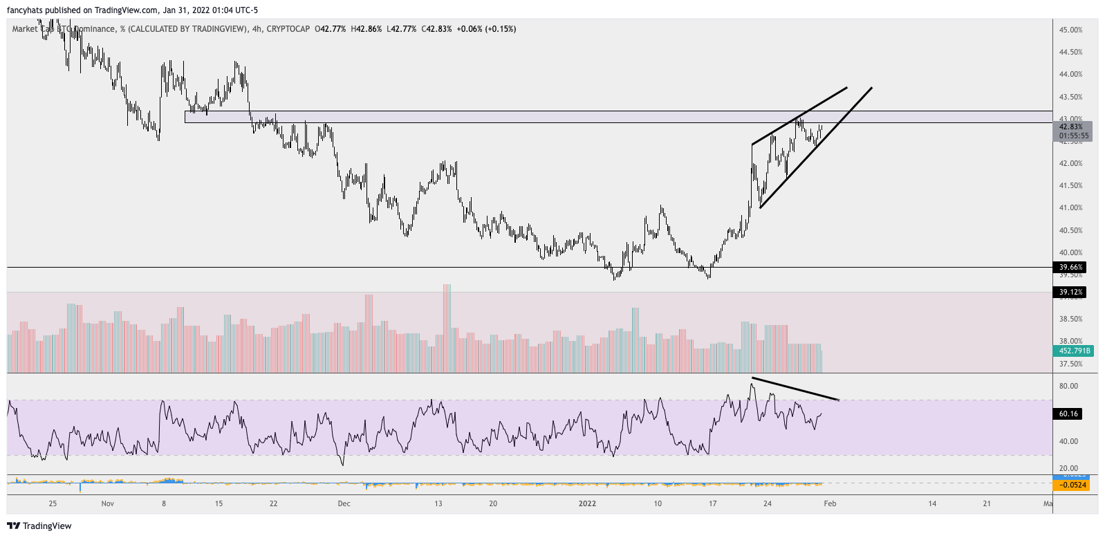 BTCD Wedge