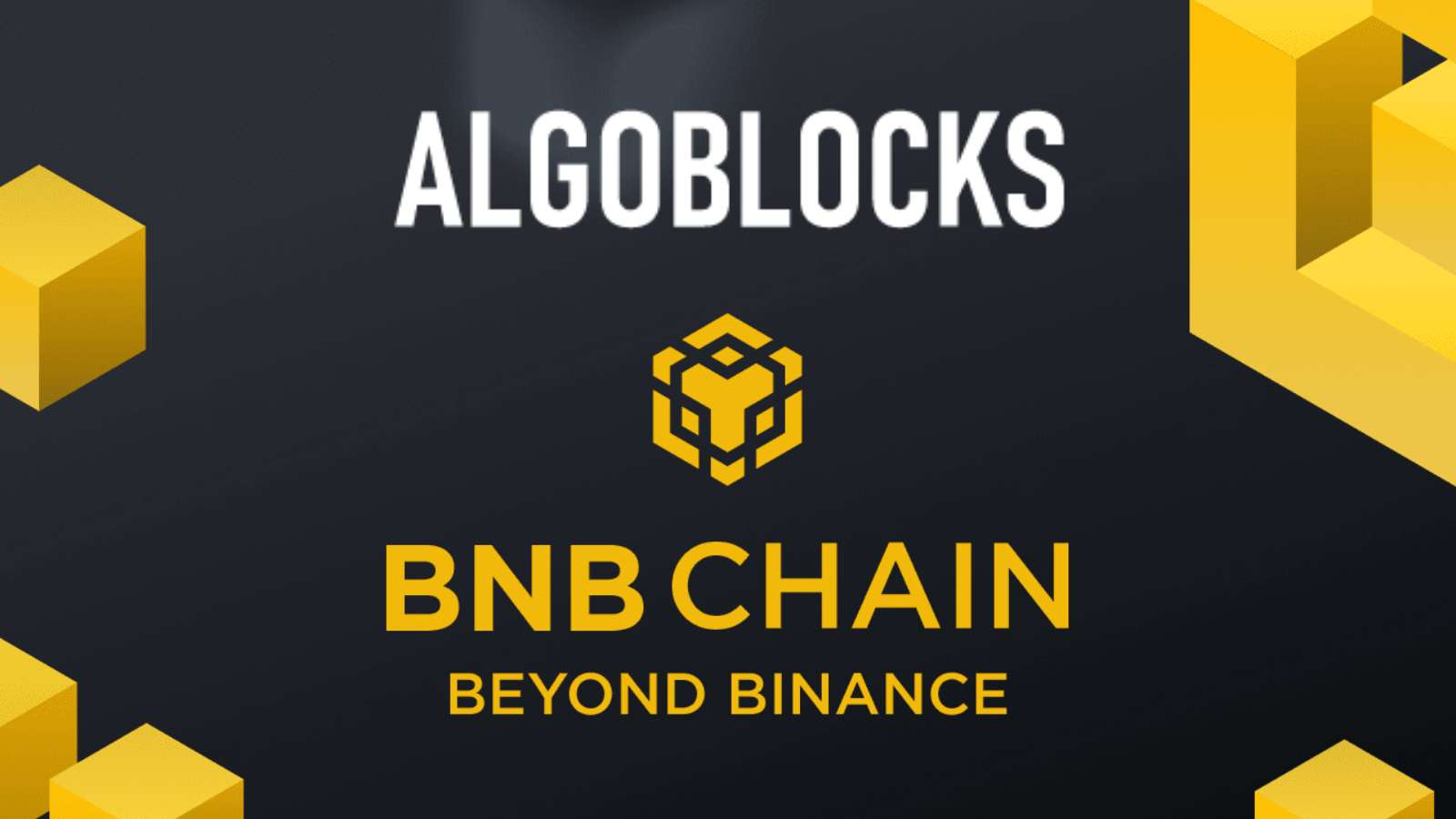 AlgoBlocks è tra le 18 startup selezionate dal programma MVBIV di Binance