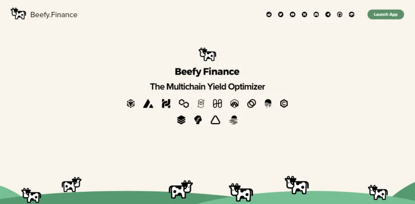 how to use beefy finance