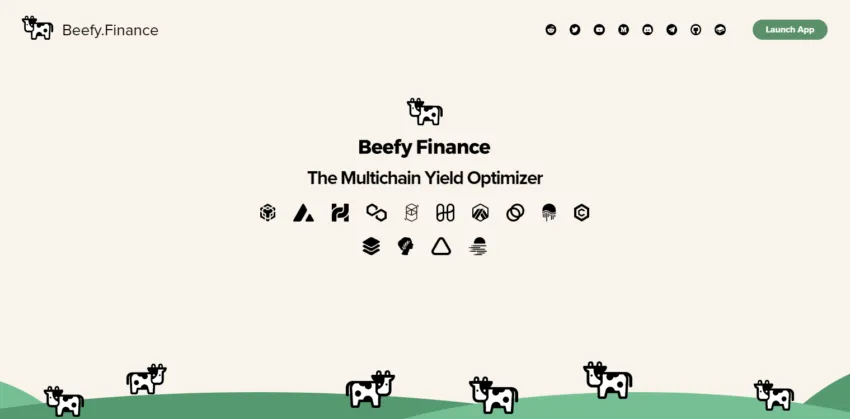 beefy finance